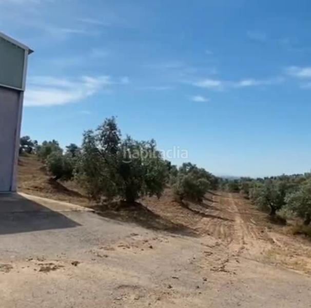 Foto 00553fdc-e996-4e40-b8b7-6ff011acadd6. Finca rústica ref r163 venta terreno rustico de secano en cordoba en Lucena
