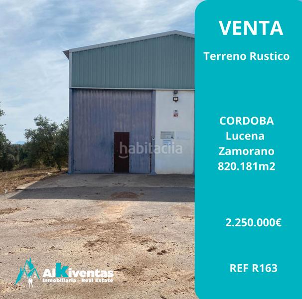 Foto 0d5b302d-e672-4990-afbd-b930fae9ae19. Finca rústica ref r163 venta terreno rustico de secano en cordoba en Lucena