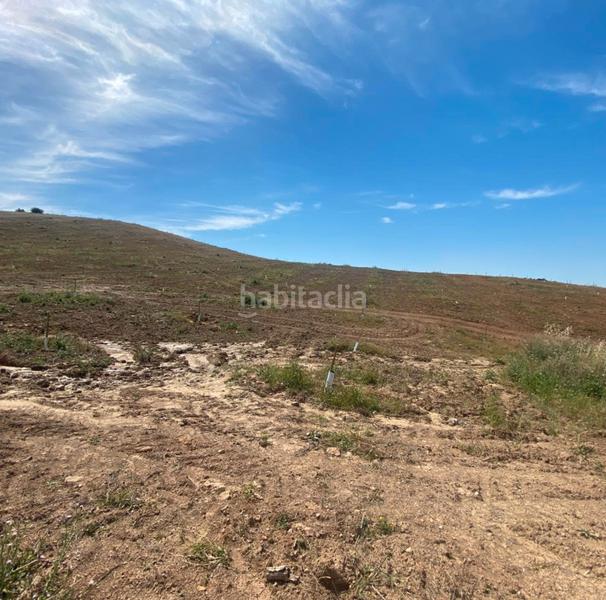 Foto 1d38ba2c-f554-4e6c-9629-3fe1e7d48cc1. Finca rústica ref r163 venta terreno rustico de secano en cordoba en Lucena