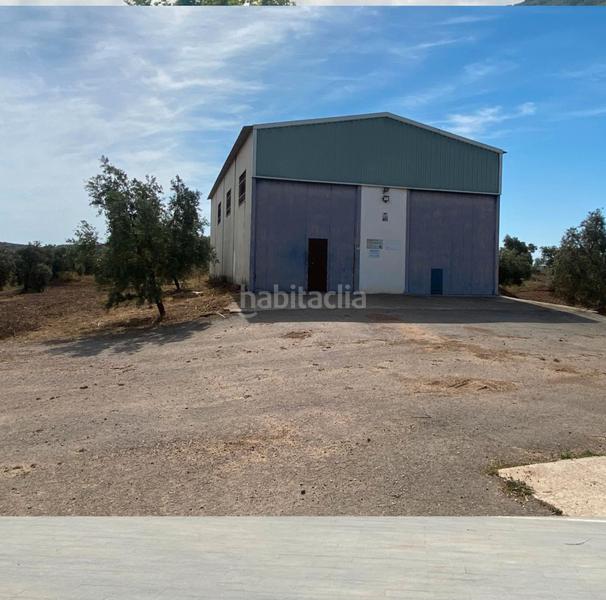 Foto 2b0eca1b-da79-4f8f-9999-664690cc8ef4. Finca rústica ref r163 venta terreno rustico de secano en cordoba en Lucena