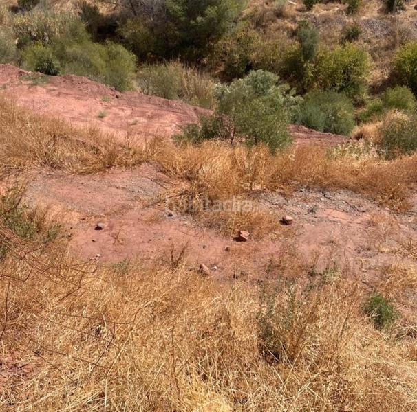 Foto 9c1f76bc-1dc2-4c29-a835-4ff1860d9bef. Finca rústica ref a172 venta de finca en estacion cartama sexmo en Málaga