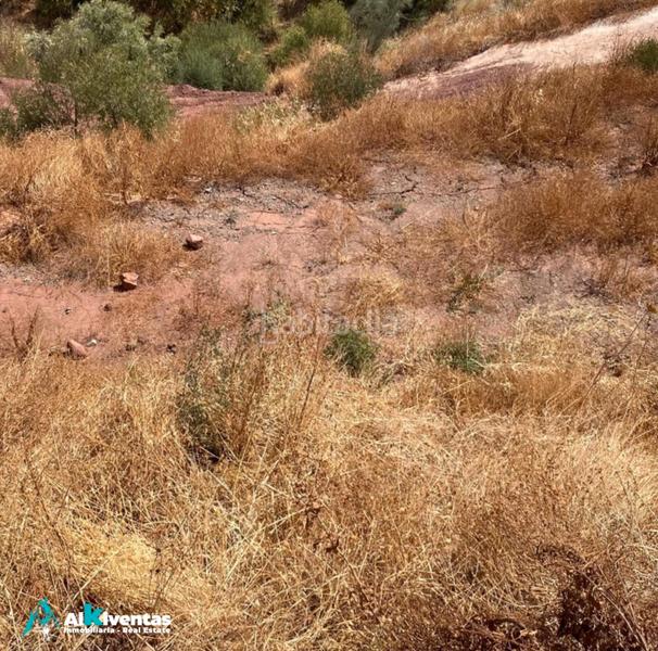 Foto abc4092f-eb4f-4539-b66f-ea9fbe659800. Finca rústica ref a172 venta de finca en estacion cartama sexmo en Málaga