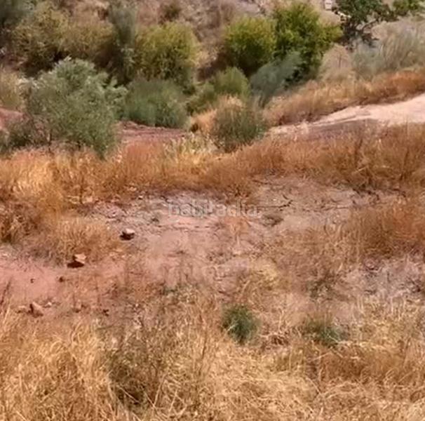 Foto cc291564-8325-41db-b53b-334ac3234cc5. Finca rústica ref a172 venta de finca en estacion cartama sexmo en Málaga