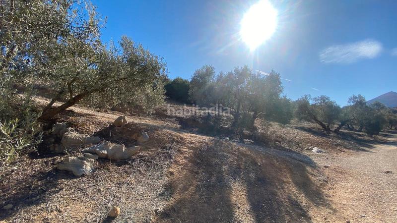 Foto 6b7c3636-75ef-4b19-9f4b-e18317f9dc51. Masia amb calefacció aparcament piscina a Valle de Abdalajís