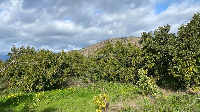 Foto b0244f71-b003-4350-9f4e-bfe15553f73c. Finca rústica a Alquería-Torrealquería Alhaurín de la Torre