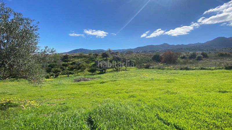 Foto 0a4b9a4d-5b84-486f-a541-bfb937e7d134. Finca rústica a Alquería-Torrealquería Alhaurín de la Torre