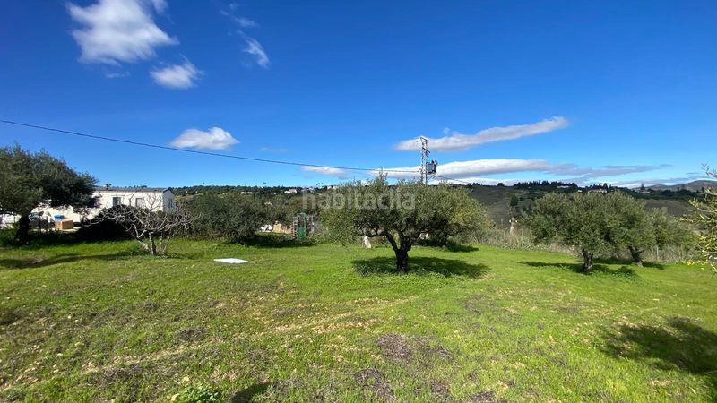 Foto 64798db6-e68a-4991-9c81-c16d4219ace1. Finca rústica a Alquería-Torrealquería Alhaurín de la Torre