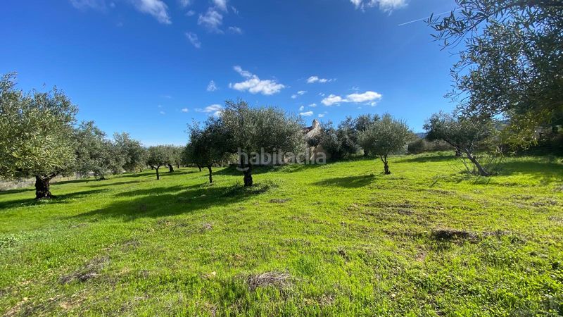 Foto 7604a22b-945f-47f2-b8d0-0f49d5678751. Finca rústica a Alquería-Torrealquería Alhaurín de la Torre
