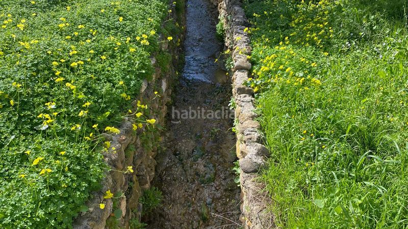Foto 7e1790e2-1cbb-4b56-b60c-8b888473e93e. Finca rústica a Alquería-Torrealquería Alhaurín de la Torre