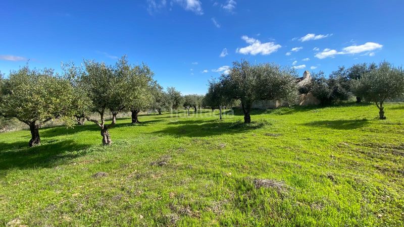 Foto 8b5df9d0-129a-4f81-8904-89efe476f763. Finca rústica a Alquería-Torrealquería Alhaurín de la Torre