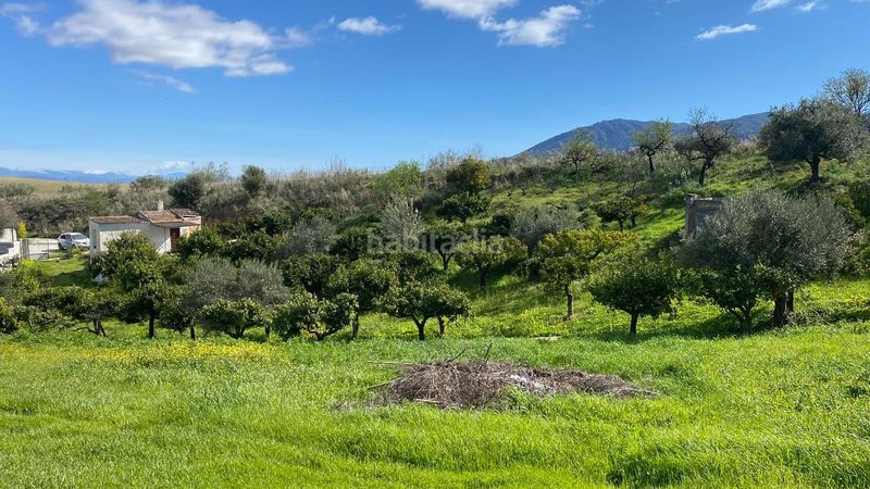 Foto b83ee7d1-4c14-47a7-ac0a-cb2a88296f41. Finca rústica a Alquería-Torrealquería Alhaurín de la Torre