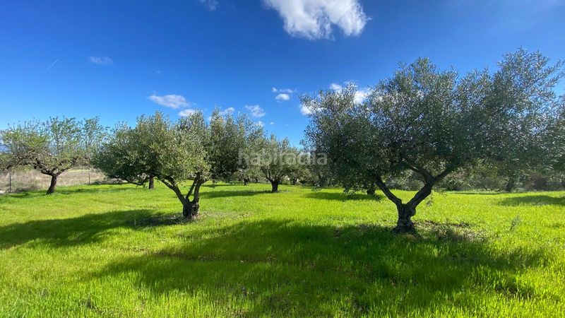 Foto b95dee3e-6ffe-4265-ba44-c61414a4c18c. Finca rústica a Alquería-Torrealquería Alhaurín de la Torre