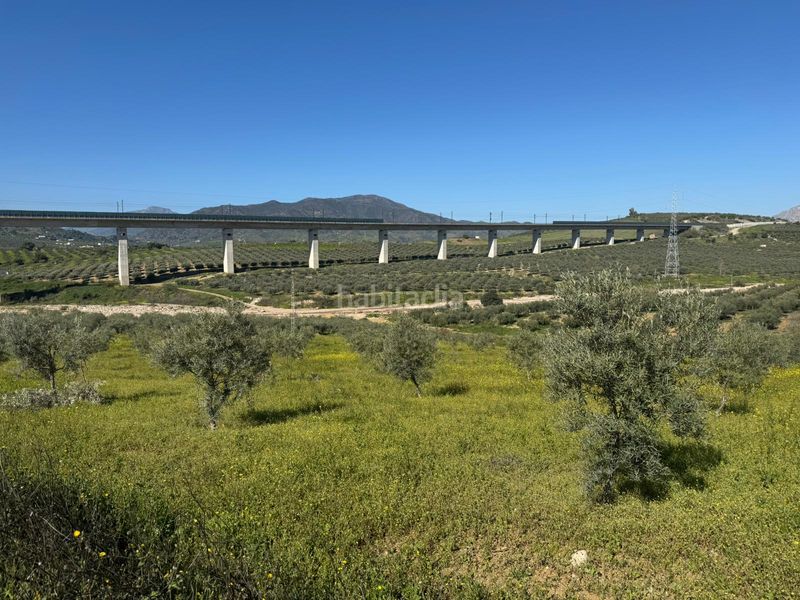 Foto 8b3b98ac-5ece-4b53-a4c2-fa8e40d8a6cb. Finca rústica a Álora