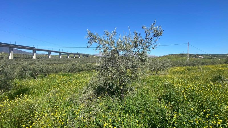 Foto a7693d82-db86-41f1-8321-48026dea8587. Finca rústica a Álora