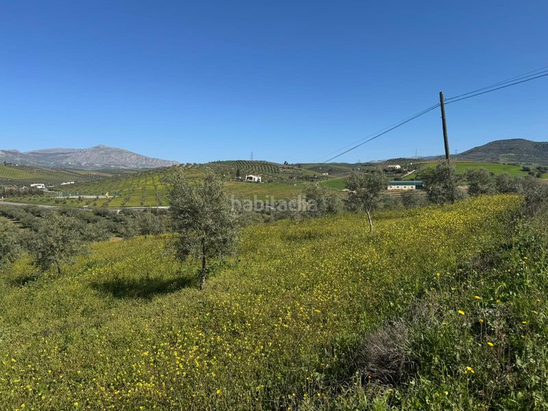 Foto d1ec6672-b4dc-4afc-87e5-6d842d22d1c2. Finca rústica a Álora