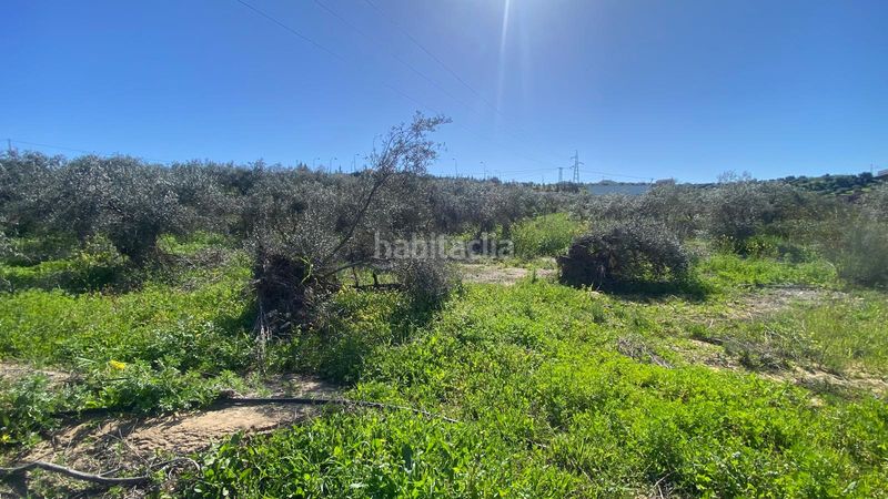 Foto dca0ae9b-2f0b-4a09-930c-086d8ad872fb. Finca rústica a Álora