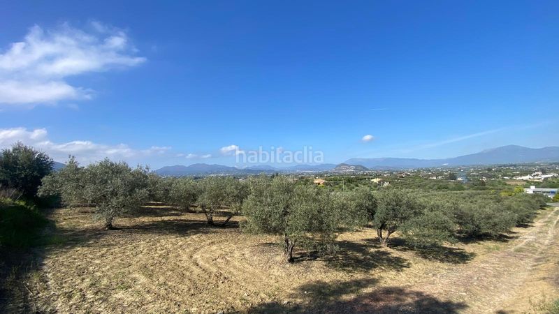 Foto 0f056aa1-7a7d-4cb3-83b8-92b51b47240c. Finca rústica a Centro Alhaurín el Grande