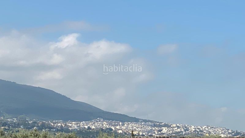 Foto 45489d52-8524-4095-a3c8-a19054ab1b72. Finca rústica a Centro Alhaurín el Grande