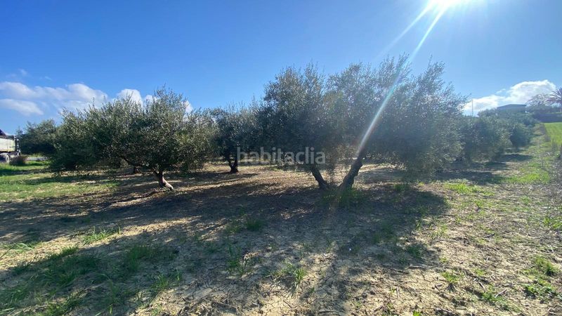 Foto 598fc491-03b1-4aa4-9c24-24e7c82e721c. Finca rústica a Centro Alhaurín el Grande
