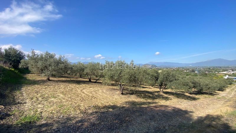 Foto bb15f2af-f12d-4e73-a95d-d93a868d2750. Finca rústica a Centro Alhaurín el Grande