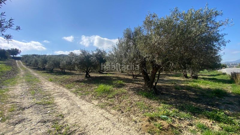 Foto eb0e5d56-bd40-4b27-905a-4f98d706ad85. Finca rústica a Centro Alhaurín el Grande