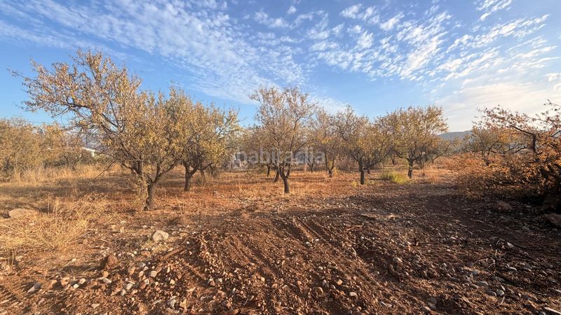 Foto 6ca328d1-e04f-481b-ae4e-ffd1eef474f1. Finca rústica a Centro Alhaurín el Grande