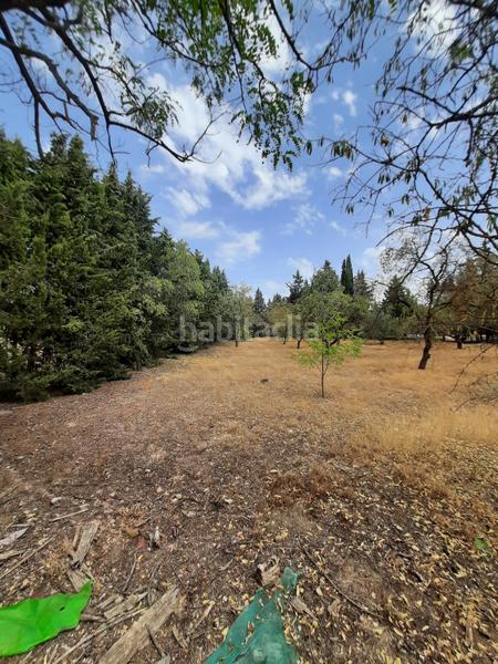 Foto 48f2c017-17e3-4946-b6f0-809a25cc5c7e. Chalet  en Torreperogil