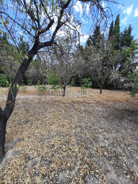 Foto 803191fe-2687-4b63-9dff-dac27ff0eccd. Chalet  en Torreperogil