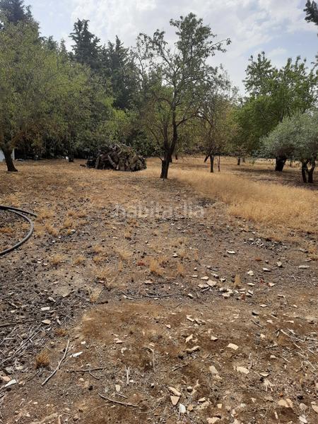 Foto dbb8c76d-a5b8-4446-8568-71839db432a4. Chalet  en Torreperogil