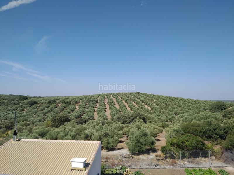 Foto 1e74dab0-962f-424d-a919-ff51ede02ca0. Chalet  en bellavista en Úbeda