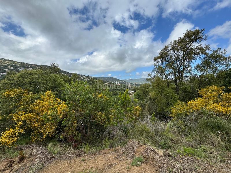 Foto 5eefe961-63c8-4388-8667-d4bdf578463c. Terreny residencial a Cabanyes-Mas Ambrós-Mas Pallí Calonge