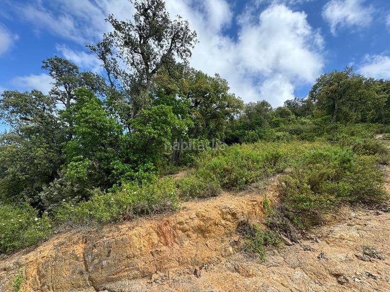 Foto 806119a3-d2a1-4f4d-8bf9-cd915b8f505a. Terreny residencial a Cabanyes-Mas Ambrós-Mas Pallí Calonge