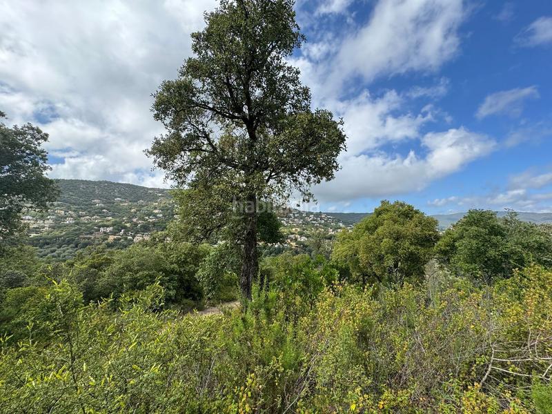 Foto 92a40005-cd6b-4f61-a2ac-c8dedeb50777. Terreny residencial a Cabanyes-Mas Ambrós-Mas Pallí Calonge