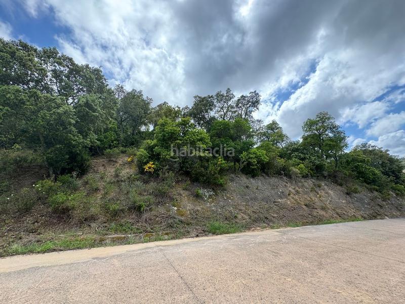 Foto 6866608d-9c3a-49c1-a3df-4b1daaed80a1. Residential plot in Cabanyes-Mas Ambrós-Mas Pallí Calonge