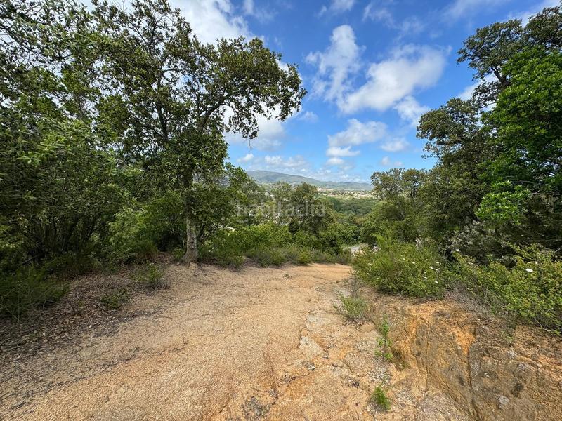 Foto 07875c4c-d5e8-45c5-8e40-d667c8f75bc8. Terrain résidentiel dans Cabanyes-Mas Ambrós-Mas Pallí Calonge