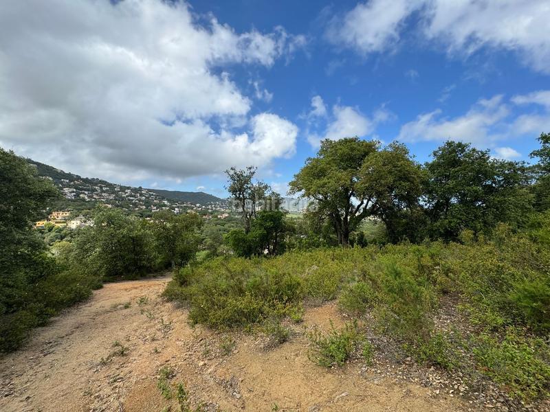 Foto 1c1284c8-0ea1-49e2-9bd3-48b58dee44f3. Terrain résidentiel dans Cabanyes-Mas Ambrós-Mas Pallí Calonge