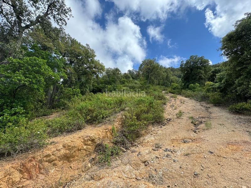 Foto c26705e8-a397-4fd7-a54a-b6ff57464305. Wohngrundstück in Cabanyes-Mas Ambrós-Mas Pallí Calonge