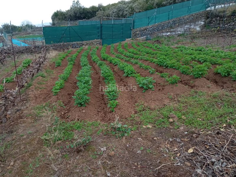 Foto 5fa6c4fb-61cf-4119-b62e-51949b3cebb7. Finca rústica a calle los casta?os 34 a La Corujera Santa Úrsula