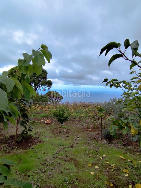 Foto a6ab5835-3c4b-4e5a-9f36-5d33830cb823. Finca rústica a calle los casta?os 34 a La Corujera Santa Úrsula