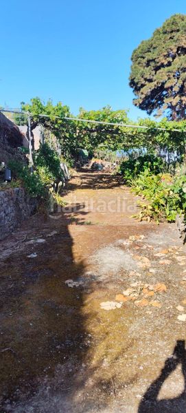Foto e1d38587-db6e-45ed-be7c-32246ebb1f3c. Finca rústica a calle los casta?os 34 a La Corujera Santa Úrsula