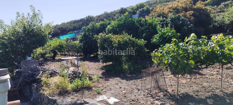 Foto e260928e-59f8-4ef5-8c55-78ddfbe60b14. Finca rústica a calle los casta?os 34 a La Corujera Santa Úrsula