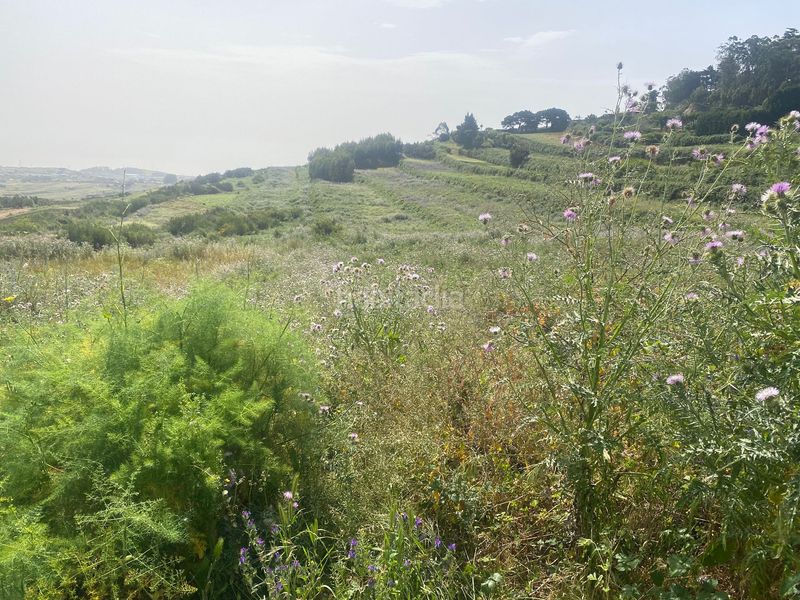 Foto f62f0dcb-474d-4061-8e24-208dc43ae6a6. Finca rústica en La Esperanza - Llano del Moro Rosario (El)