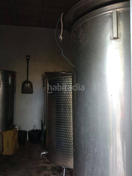 Foto 083fb63e-493c-4099-b4bc-3a366c05f2f8. Finca rústica a camino los gomez 68 a Las Cuevas - Los Gómez Orotava (La)