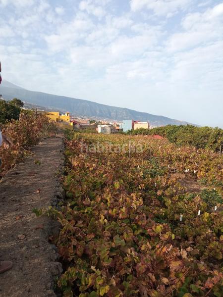 Foto 0d948d6e-8d65-418e-a20d-d4fd1c3f2167. Finca rústica a camino los gomez 68 a Las Cuevas - Los Gómez Orotava (La)