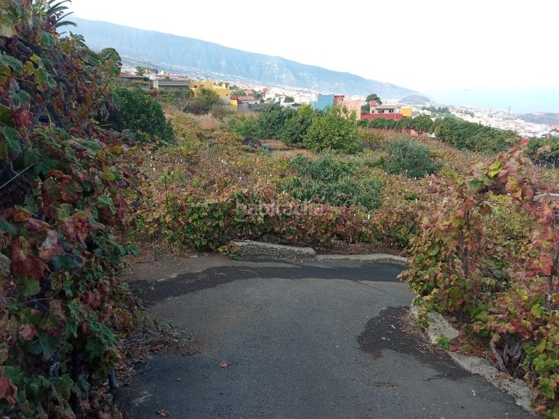 Foto 6be77bce-28d2-45c2-96c7-cbd2adeb6c28. Finca rústica a camino los gomez 68 a Las Cuevas - Los Gómez Orotava (La)