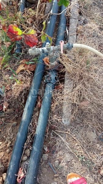 Foto 842561a0-1626-4a37-93d8-c7f9d374d4da. Finca rústica a camino los gomez 68 a Las Cuevas - Los Gómez Orotava (La)