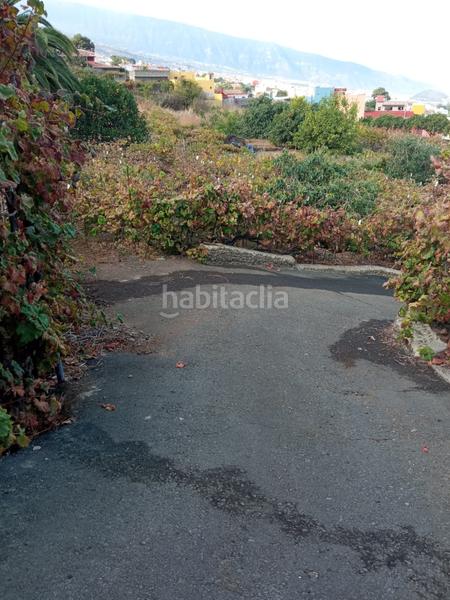 Foto 98c06894-fc99-4b54-a2f6-2027fbbc4e87. Finca rústica a camino los gomez 68 a Las Cuevas - Los Gómez Orotava (La)