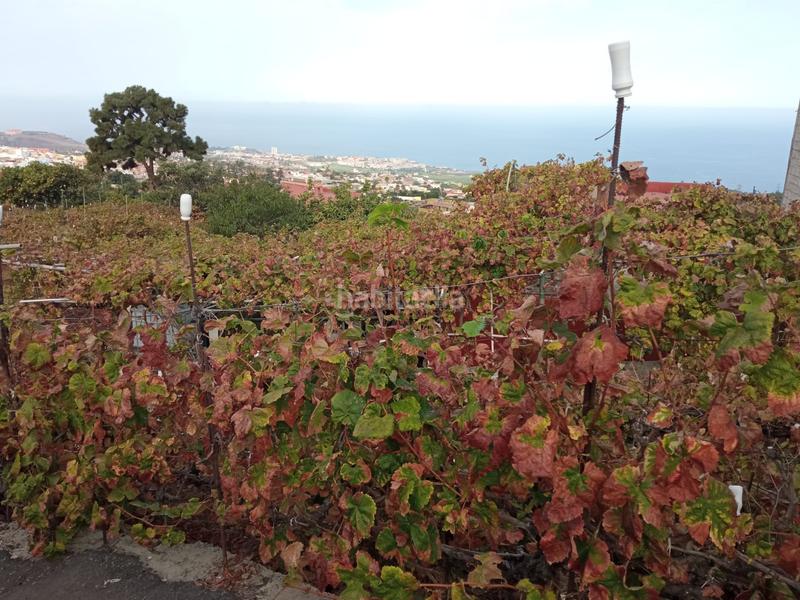 Foto 997aafef-d67d-4240-bf3d-63764c22de75. Finca rústica a camino los gomez 68 a Las Cuevas - Los Gómez Orotava (La)