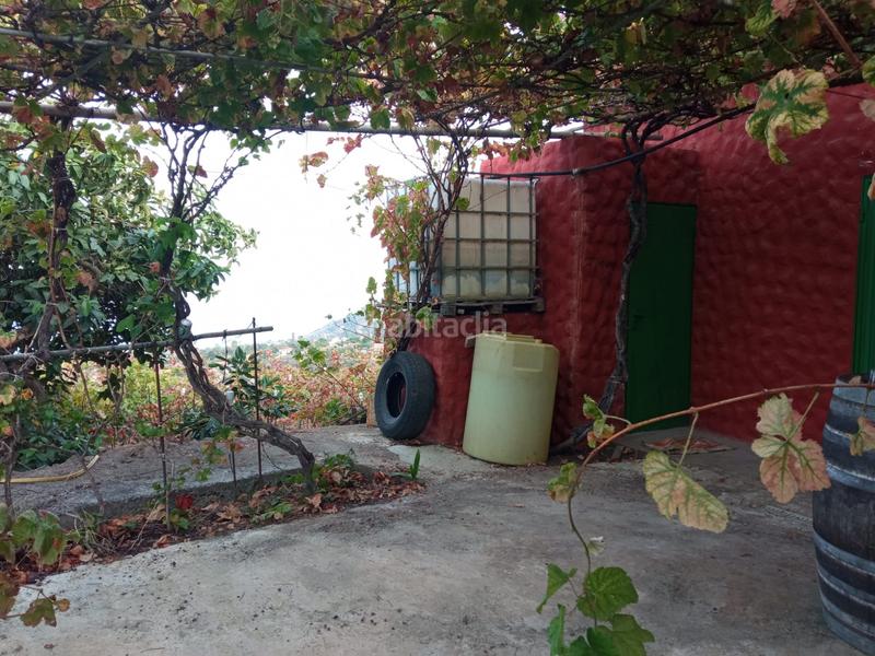 Foto b4288869-965d-4fe1-8f99-57ccf9cb0da7. Finca rústica a camino los gomez 68 a Las Cuevas - Los Gómez Orotava (La)