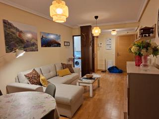 Lloguer Apartament a Lugar aguino 16a. Precioso apartamento en alquiler en pola de somiedo,  asturias